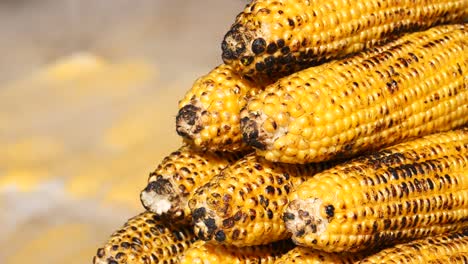 grilled corn