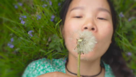 Schöne-Junge-Frau-Bläst-Löwenzahn-Beim-Liegen-Auf-Grünem-Gras-Im-Park