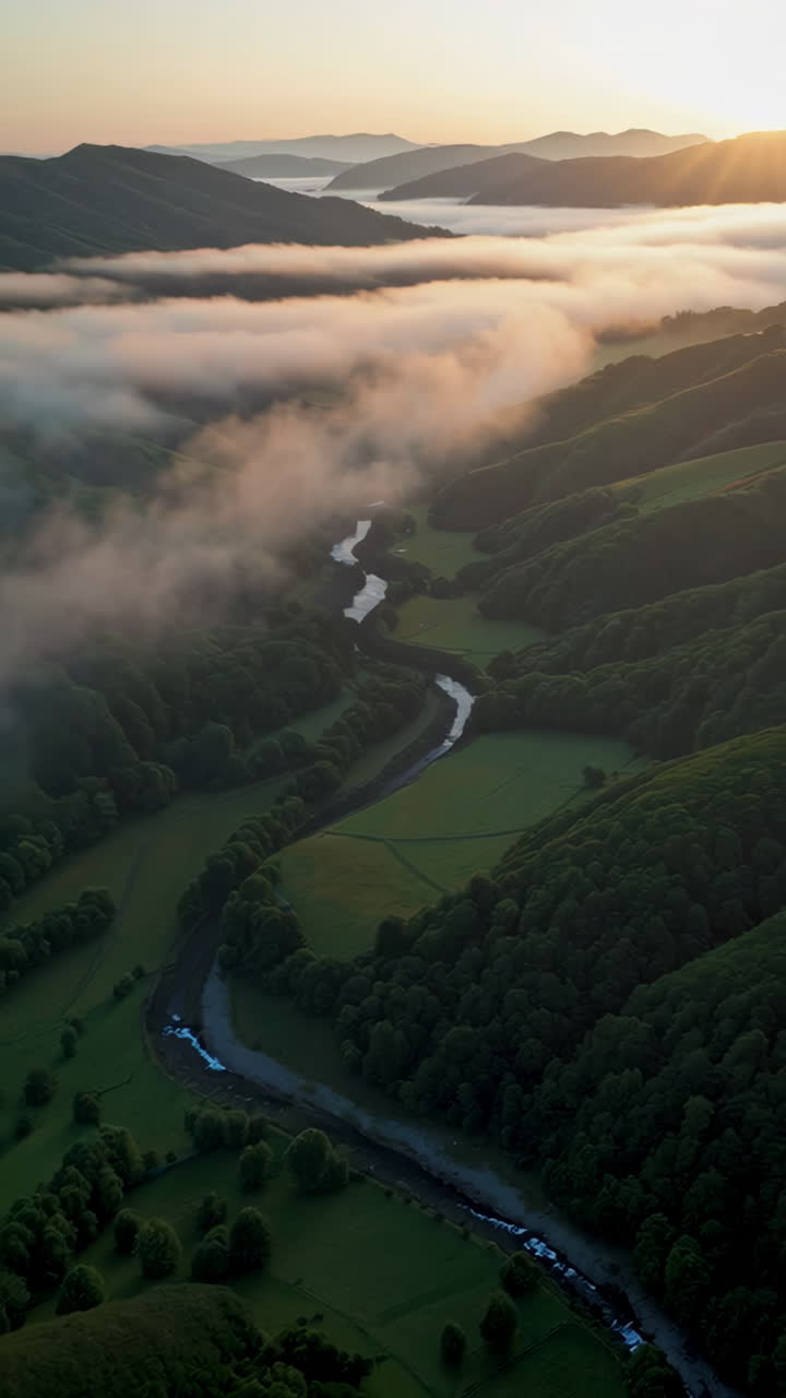 안개 계곡의 해가 뜨는 곳