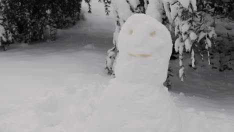 Schneemanngesicht-Mit-Natursekt-Im-öffentlichen-Park-Gemacht