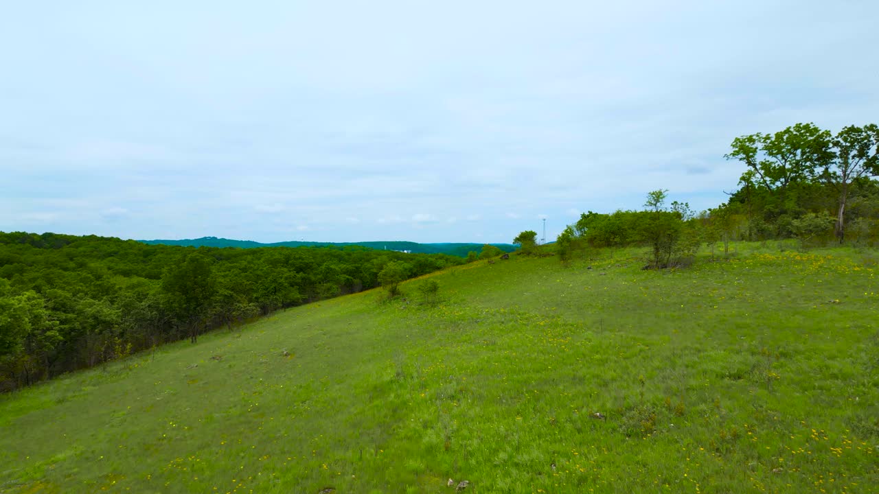A drone shot flying over a grassy glade in Ha Ha Tonka State Park in Missouri. The area is full of blooming yellow Ozark Coneflowers.