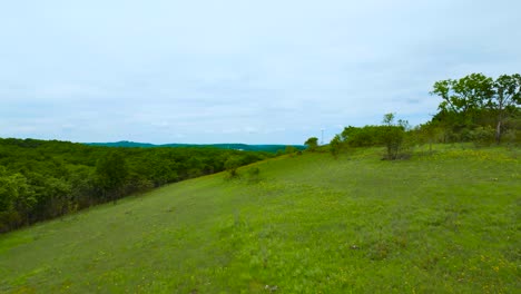 a drone shot flying over a grassy glade in ha ha tonka state park in missouri. the area is full of blooming yellow ozark coneflowers.