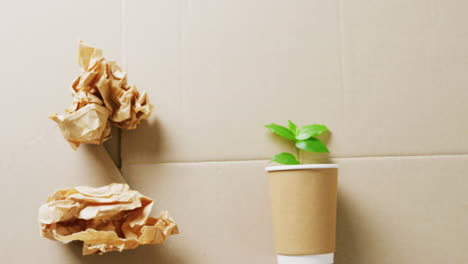 primer plano de basura de papel y taza con planta en fondo de cartón, con espacio para copiar