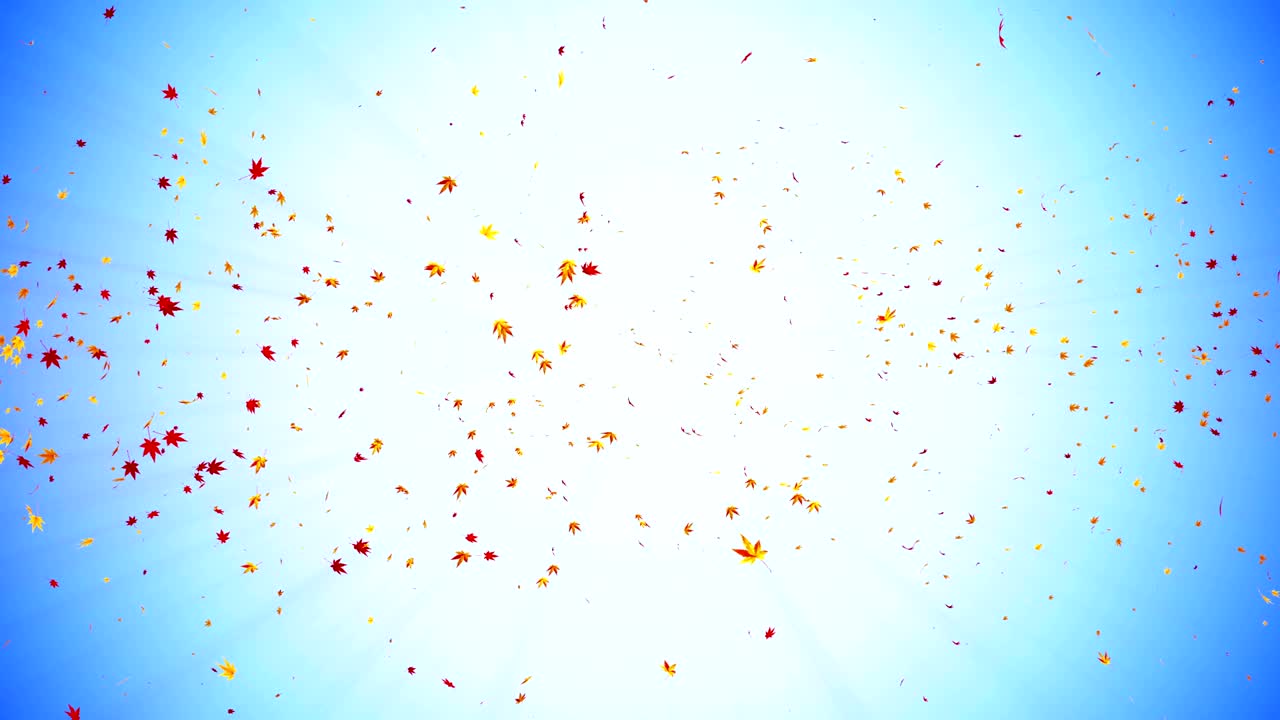 Vortex from colorful maple and leaves. Spiral shiny particle of autumn leaves. Dancing leaf. Colorful nature tunnel loop animation.