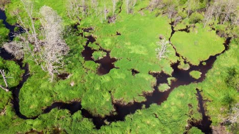 Toma-Aérea-Panorámica-Sobre-Arroyos-En-Humedales-Y-Paisajes-En-El-Estado-De-Snohomish-Washington.