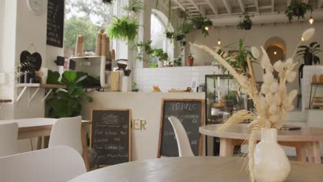 general view of modern cafe with counter, tables, chairs and plants