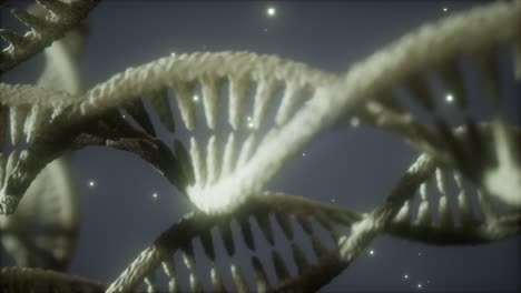 double-helical-structure-of-dna-strand-close-up-animation