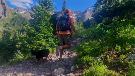 Cinematic-aerial-people-hiking-with-dog-alpine-Blue-Lakes-walk-Colorado-Mount-Sniffels-Dallas-Peaks-Wilderness-snow-14er-peak-purple-wildflowers-Ridgway-Telluride-Ouray-Silverton-slow-follow-still