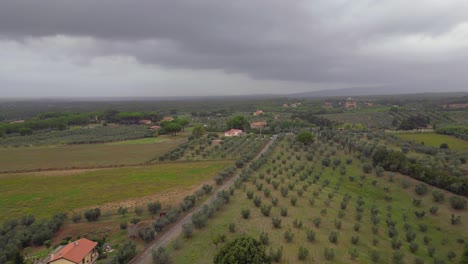 Cielo-Nublado-Sobre-Olivar,-Toscana-Italia