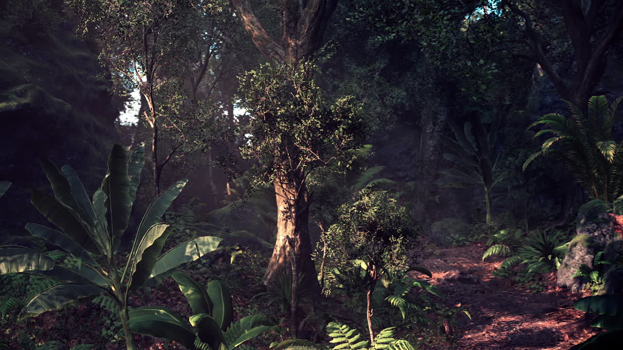 Lush greenery and sunlight filtering through trees in a serene forest setting