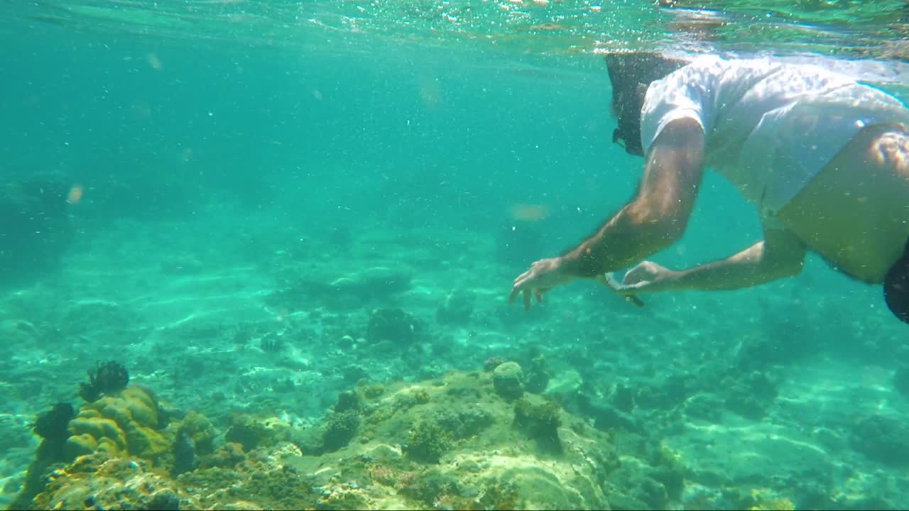 Hombre haciendo apnea para encontrar una estrella de mar