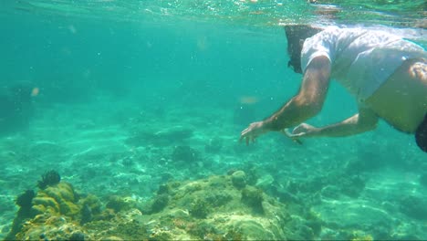 man freediving to find a sea star