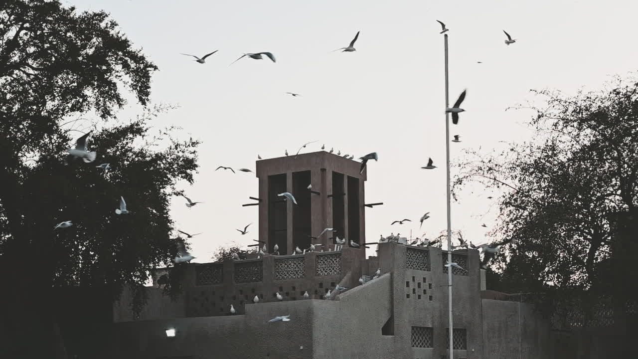 Uccelli sopra il quartiere storico Al Fahidi di Dubai, Emirati Arabi Uniti