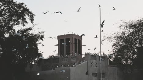 Vögel-über-Dem-Historischen-Viertel-Al-Fahidi-In-Dubai,-Vereinigte-Arabische-Emirate
