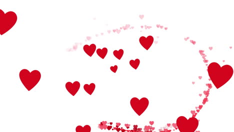 animación de corazones rojos flotando sobre un fondo blanco