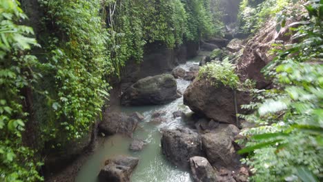 stream river in moss covered creek formed by water flowing from suwat waterfall running through a mud rocky jungle canyon in bali indonesia