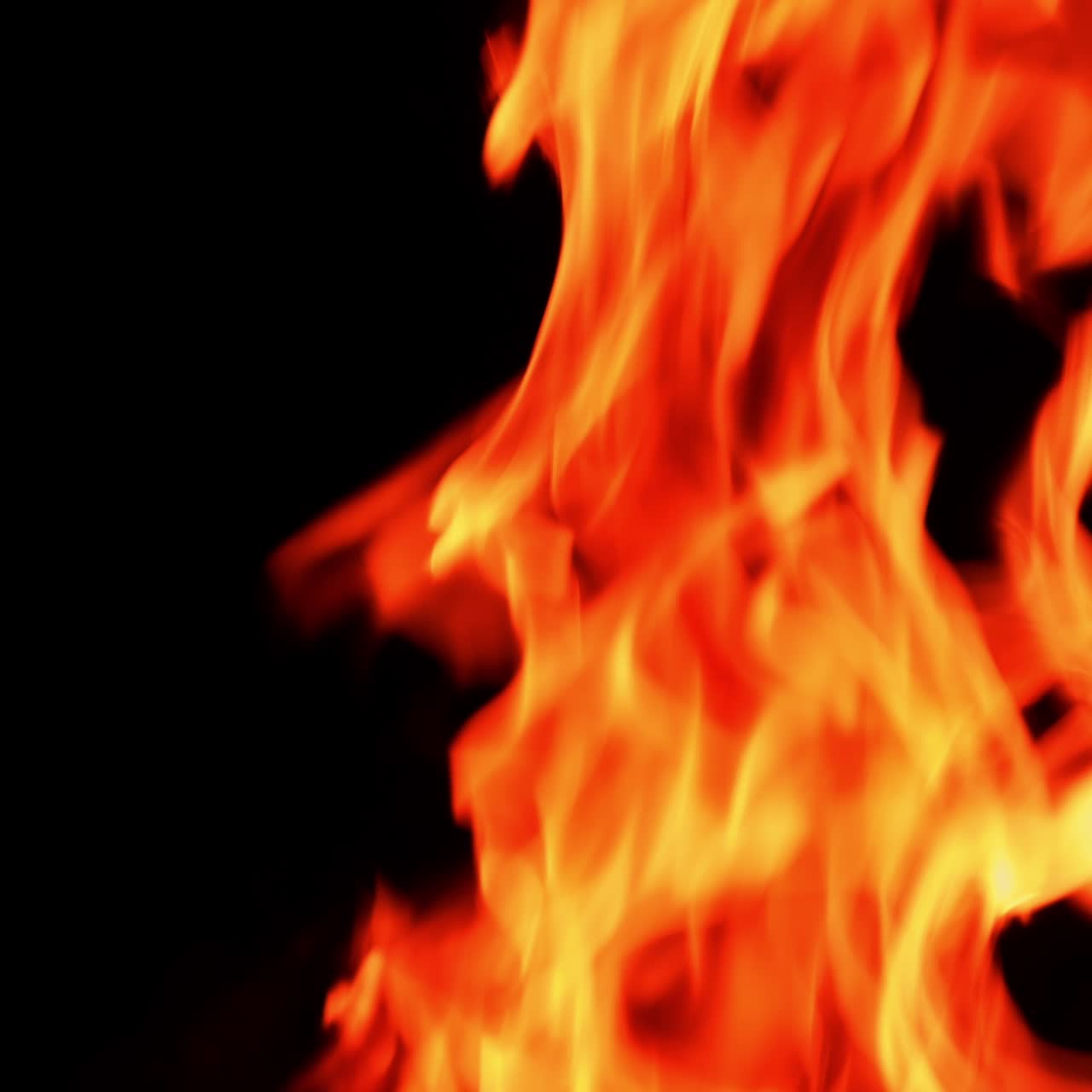 Brændende orange flammer i close-up. Smukke flammetunger, der bevæger sig mod den sorte baggrund