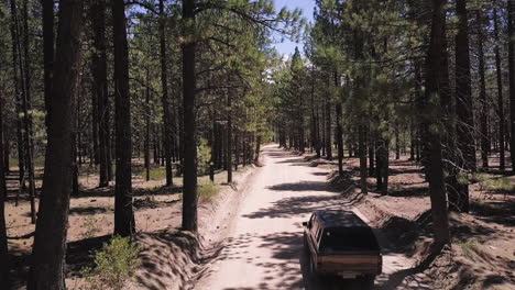 classic american off-road car driving on dirt road in forest