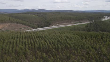 Vista-Aérea-De-Una-Plantación-De-Eucalipto-En-La-Cima-De-Una-Colina-Para-La-Industria-Del-Papel