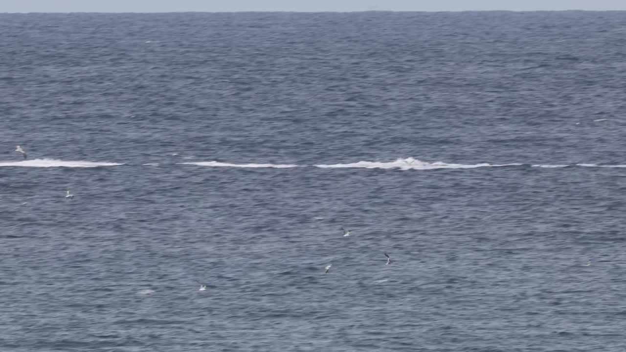 Boat on the open sea