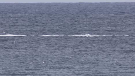 boat on the open sea