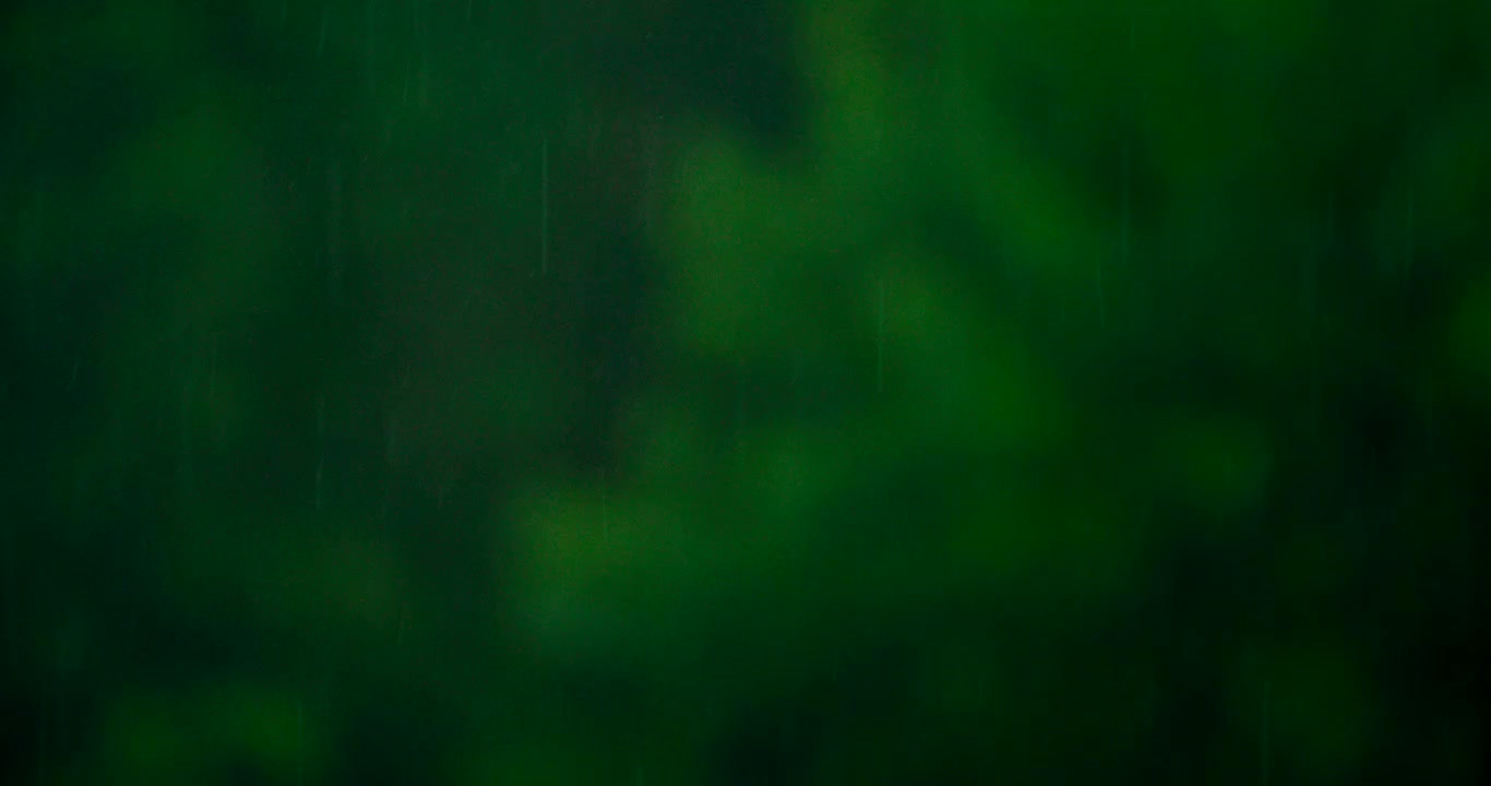 Nærbillede af regn med grøn naturbaggrund.