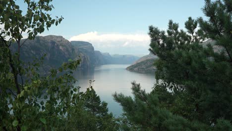 warm sunlight illuminates a tranquil fjord surrounded by towering cliffs and vibrant green trees. the calm water reflects the majestic scenery, creating a peaceful atmosphere