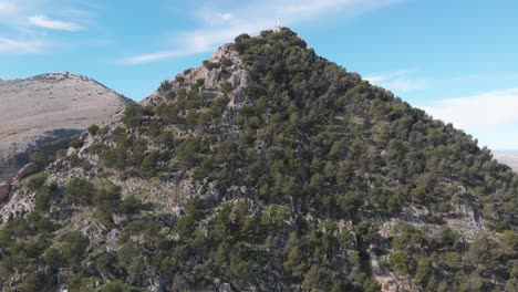 hermosos brotes de jaén - españa se centran en la catedral de jaén en la plaza de santa maría