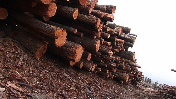 This Angled Shot Shows Snow Falling Gently On A Long Row Of Stacked Lumber