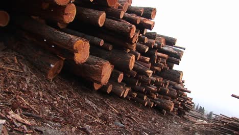 This-Angled-Shot-Shows-Snow-Falling-Gently-On-A-Long-Row-Of-Stacked-Lumber