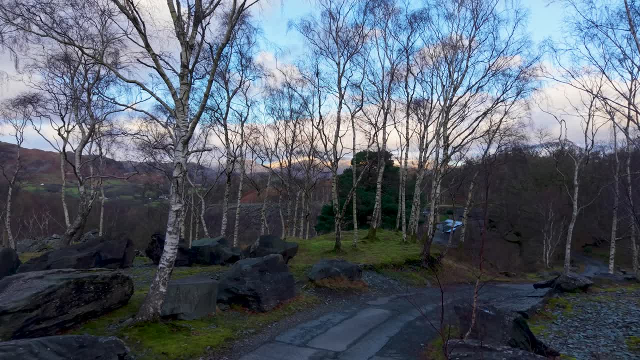 A drone pulls backward along a quiet slate path with rocks either side, gradually revealing leafless winter trees and a widening mountain landscape beneath a bright sky with soft clouds