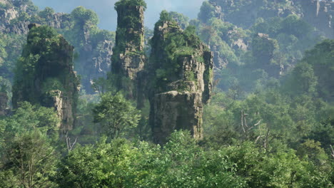 tall rock formations in a lush green forest