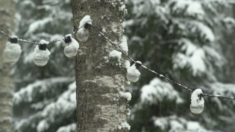 party lamp chain in the snow