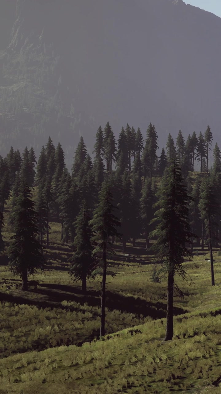 La scena mostra un fianco di collina coperto da molti alberi