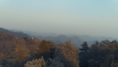 A-fly-over-the-coniferous-forest-of-the-lower-Himalayas,-panning-up-to-a-view-of-the-mountains