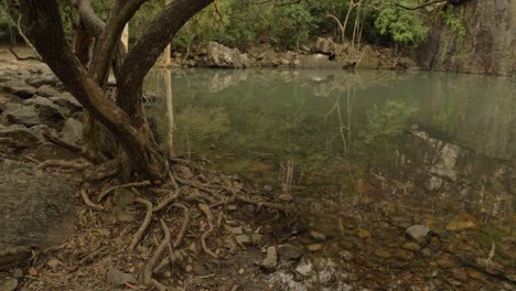 Friedlicher-Natürlicher-Pool-Im-Cedar-Creek-Falls-Nationalpark-In-Der-Nähe-Von-Proserpine,-Queensland-Australien