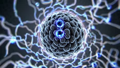 estructura del virus