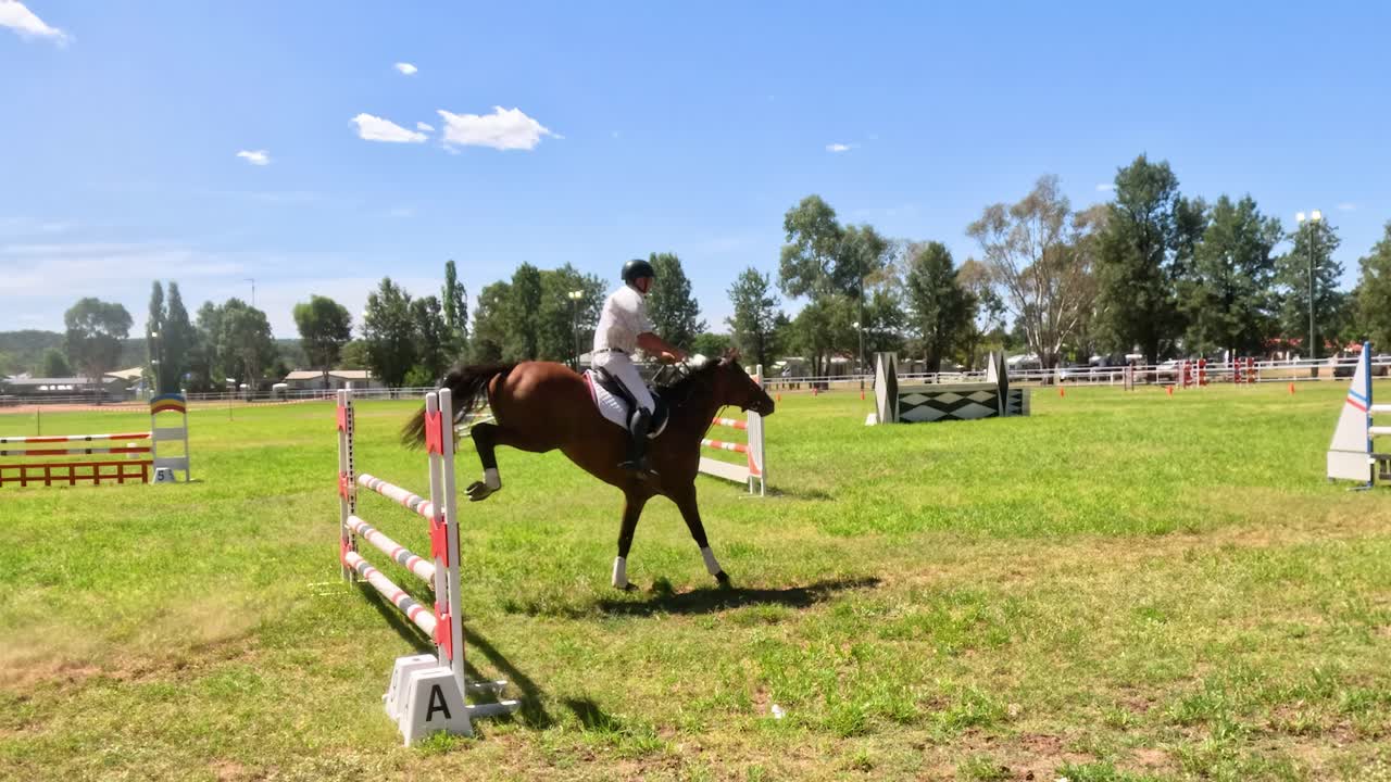 En hest og rytter hopper dyktig over hindringer på en solrik dag på en utendørs bane.