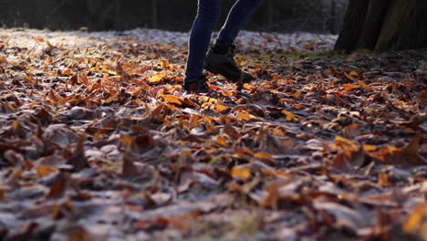 slow-motion shot of a person walking through some fallen frosty leaves from left to right