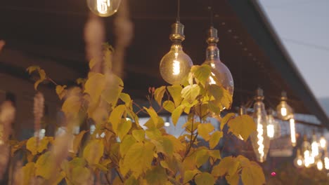 outdoor string lights and autumnal plants at stadtpark during sunset in vienna, austria