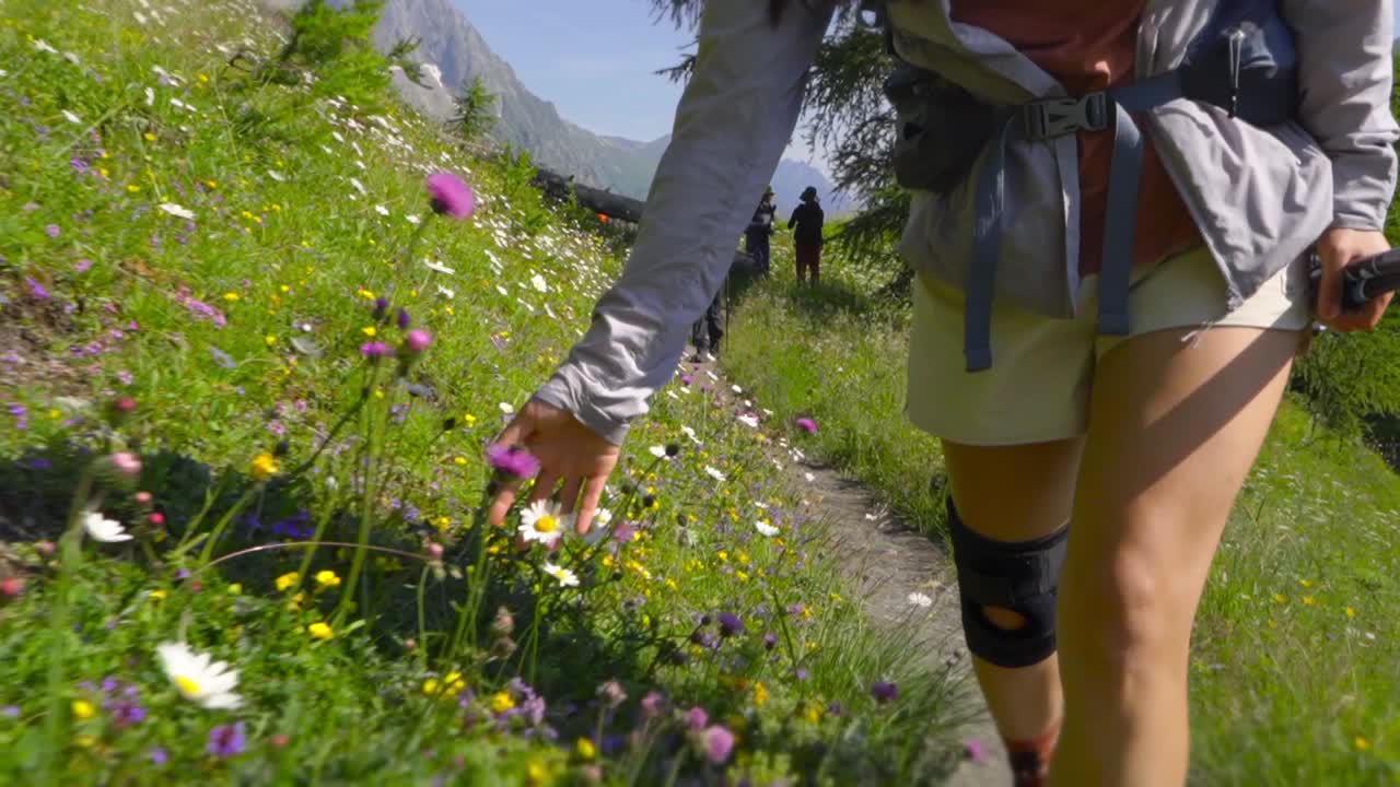 Woman caressing the flowers of a valley in Switzerland while trekking
