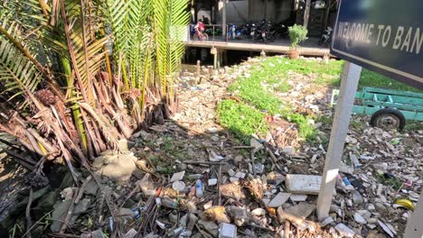 progression of litter accumulation in a natural area