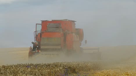 wheat harvesting. combine harvester working on sunny summer day