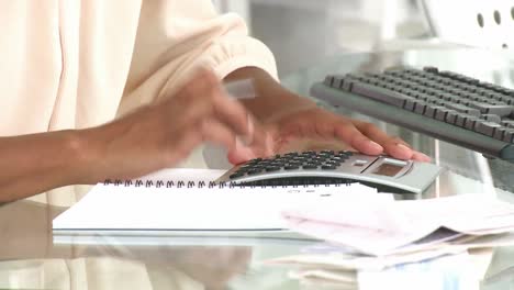 portrait of a woman doing her accounts