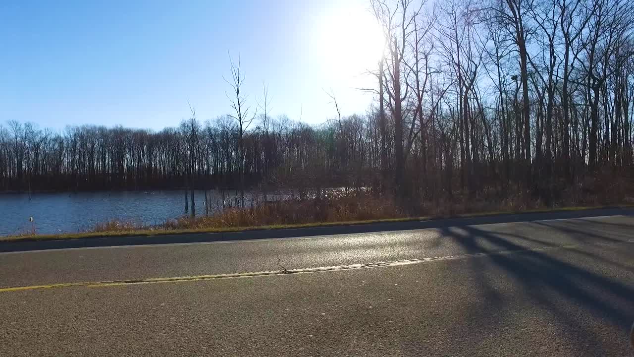 Bright sun shining through the trees in fall.