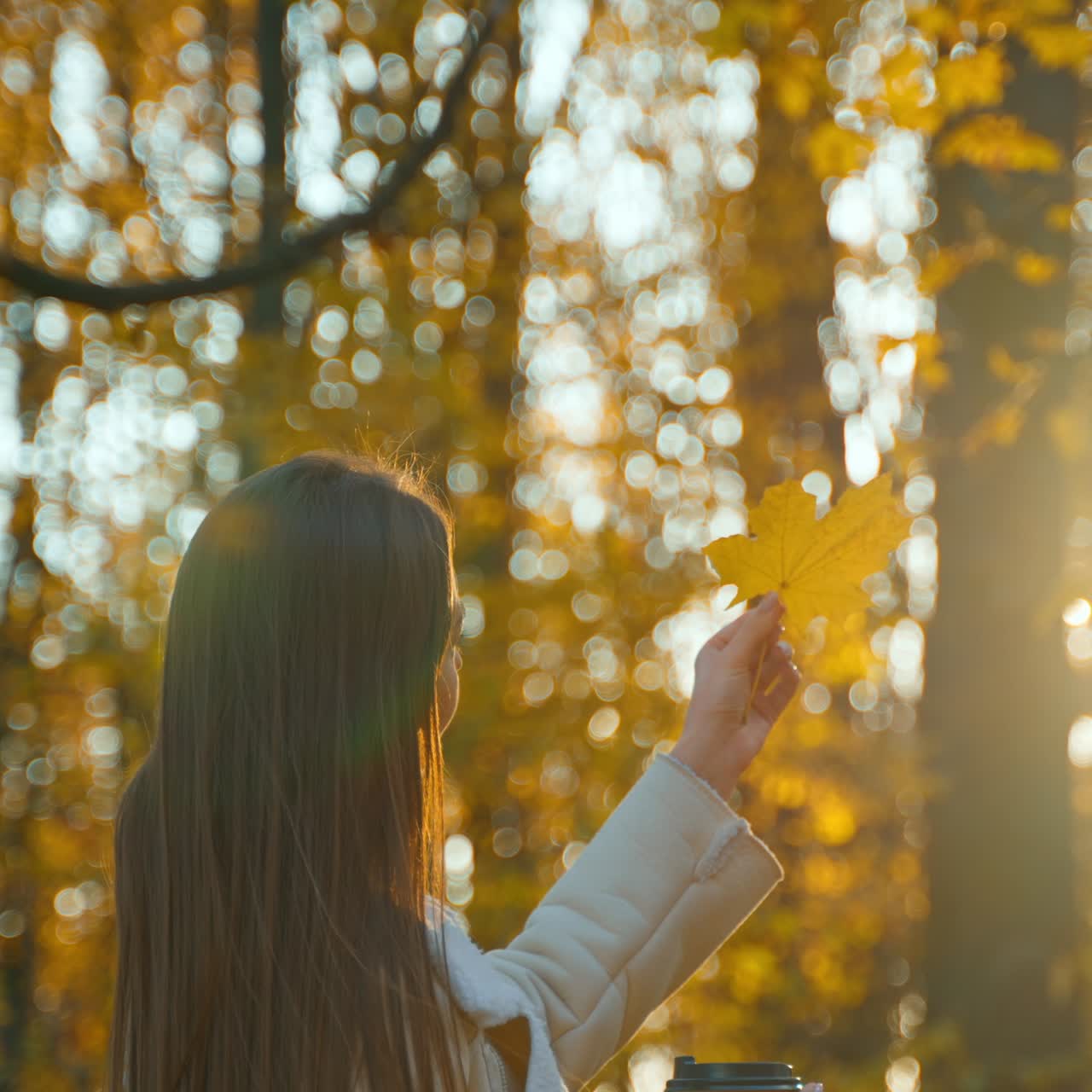 Unrecognized woman with dark long hair enjoys autumn sun in the park. Lady turns the leaf of maple tree against sunbeams