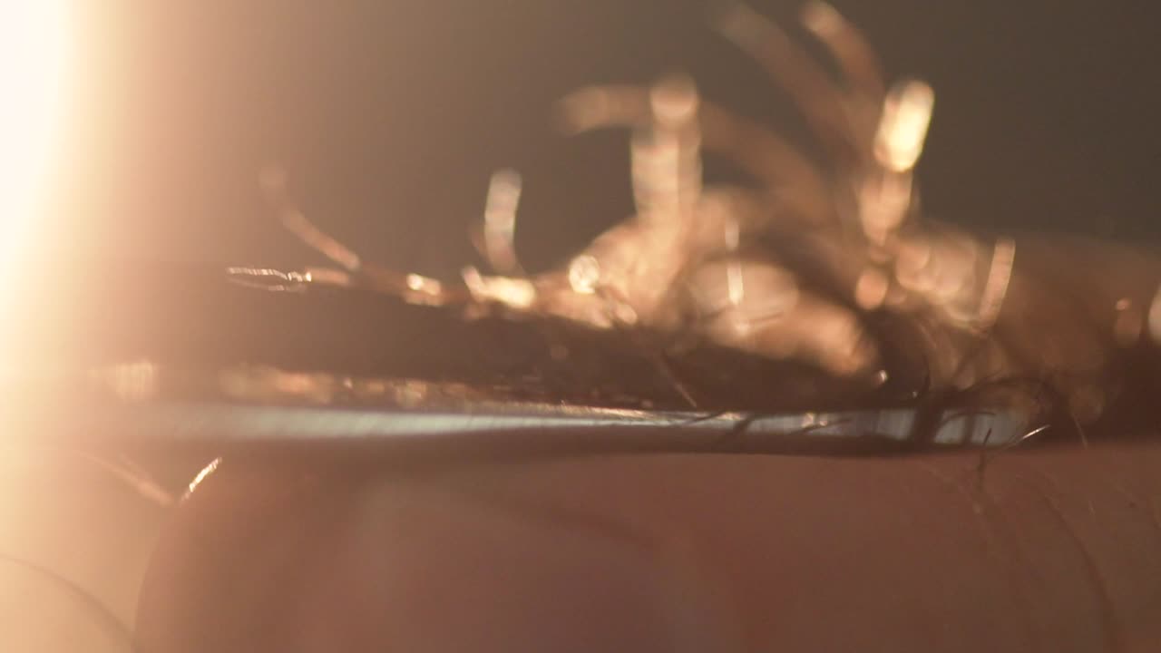 따뜻한 조명을 가진 물체의 근접 시각