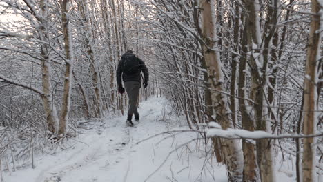 hiking backpack man walking on snowy avenue path in winter, rack focus