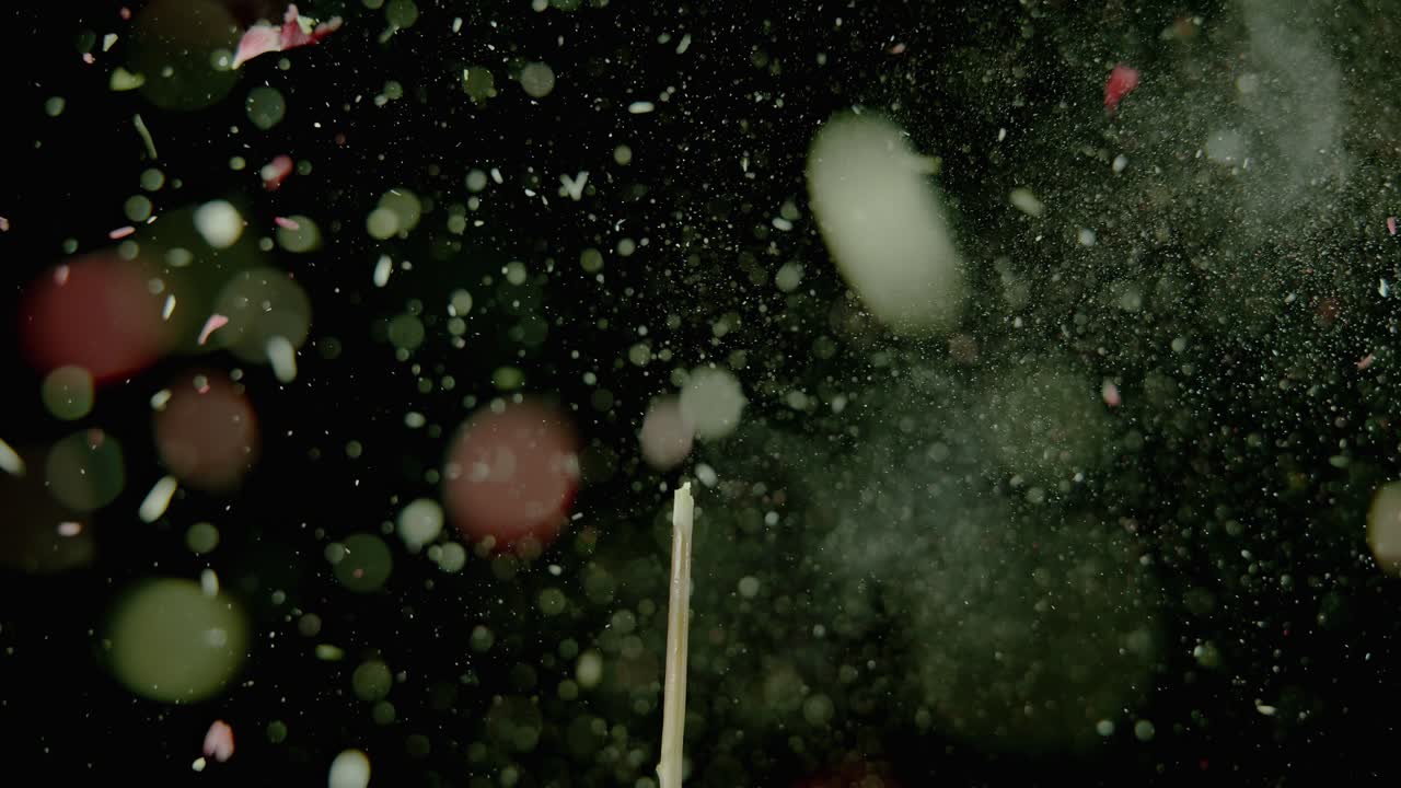 꽃은 어두운 방 곳곳에서 폭발합니다.