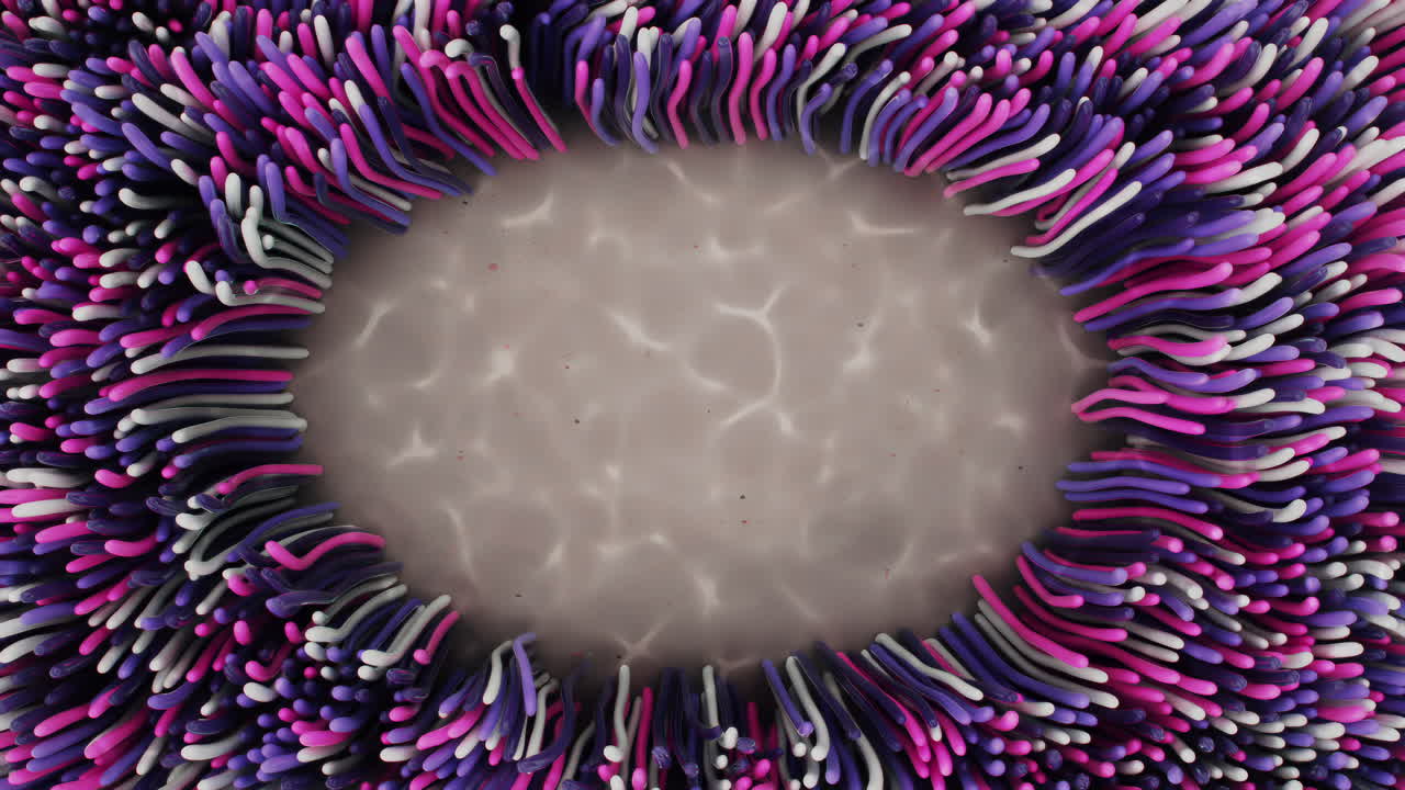 marco de anémonas en el fondo del océano